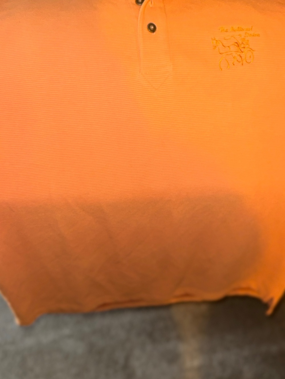 Men's Orange Polo with Embroidered Chest Detail